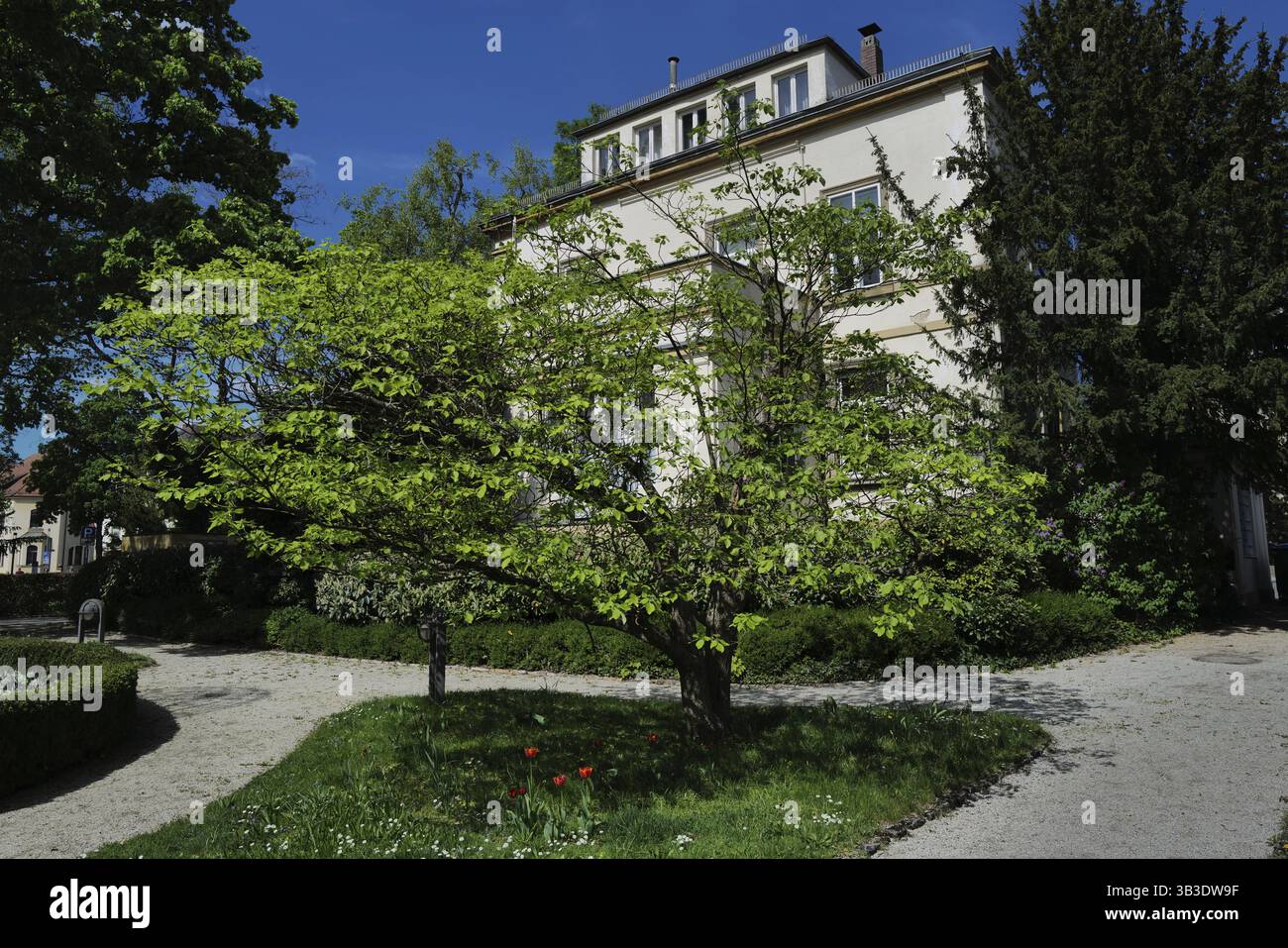 Il museo Jean Paul di Bayreuth dedicato al famoso scrittore e poeta tedesco Jean Paul Richter morto 200 anni fa nel 1825, Bayreuth, Germania, E. Foto Stock
