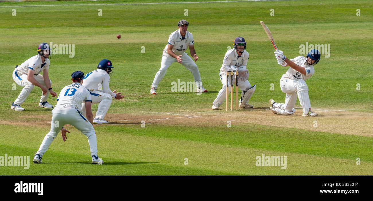 Max Holden batte per Middlesex in un Rothesay County Championship Division 2 match tra Derbyshire e Middlesex. Foto Stock