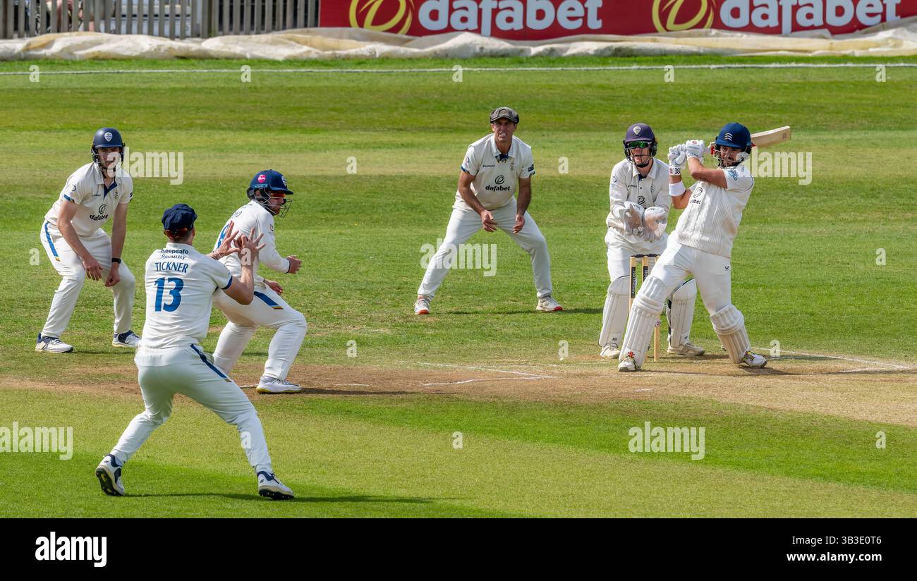 Max Holden in battuta per il Middlesex colpisce Blair Tickner in una partita di Rothesay County Championship Division 2 contro il Derbyshire. Foto Stock