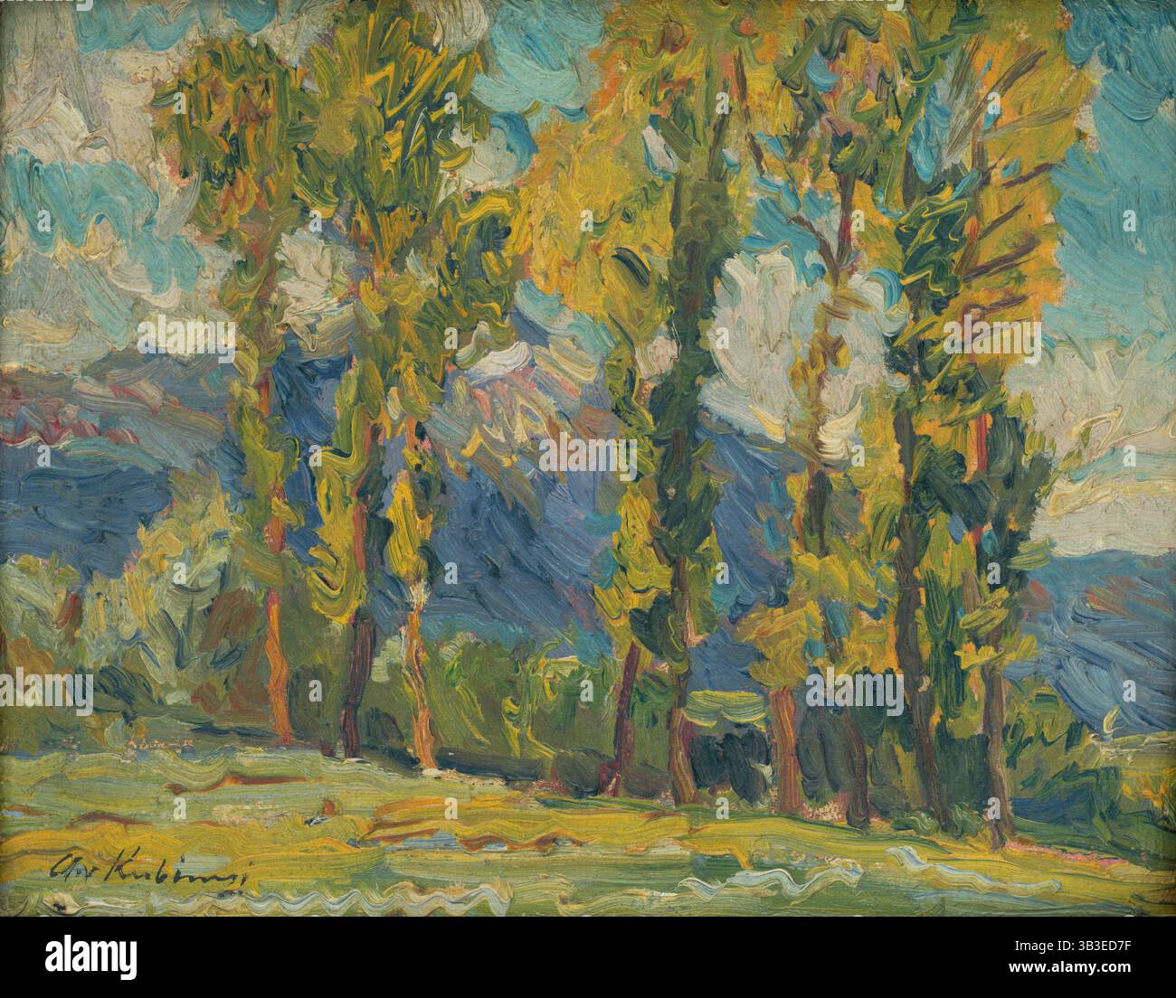 Studio del paesaggio, c1905. Foto Stock