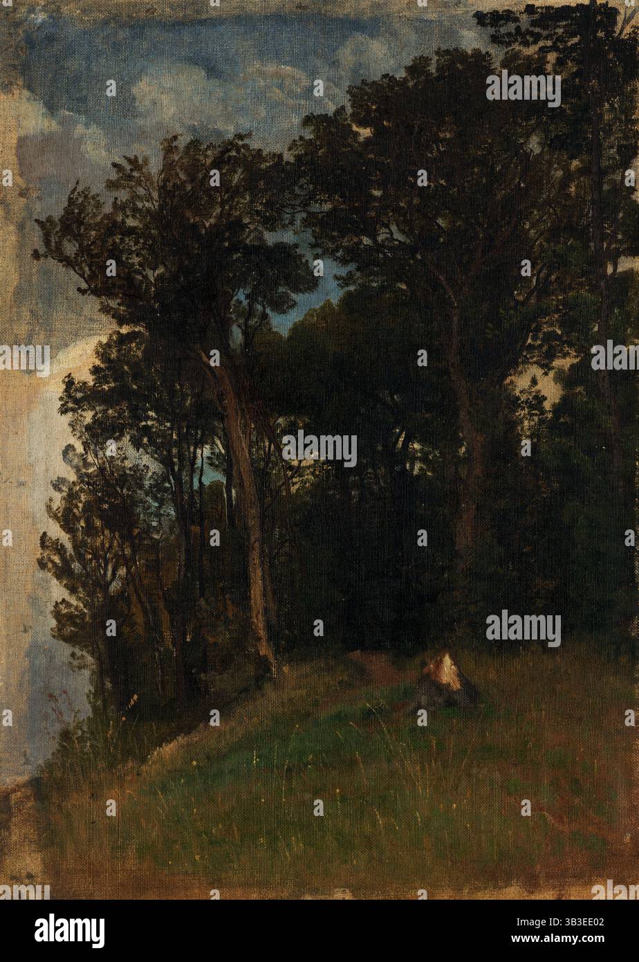 Ai margini di una foresta, 1890-1910. Foto Stock