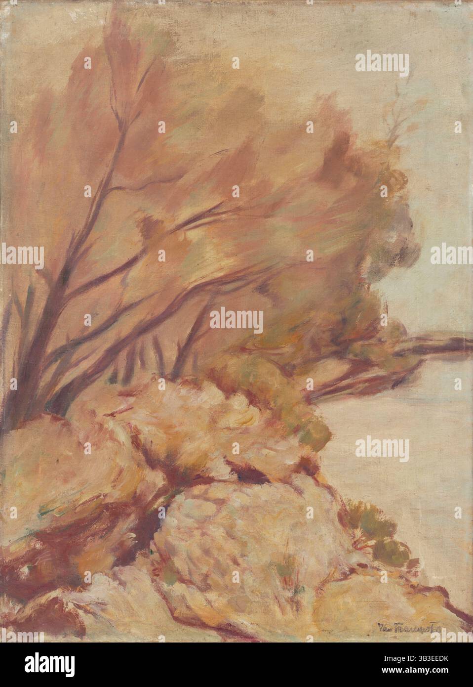 Trincee sul Danubio, 1920-1939. Foto Stock