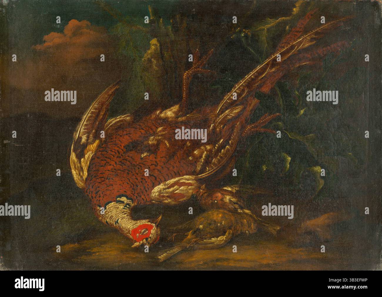 Natura morta con Guinea Fowl, 1730-1750. Foto Stock