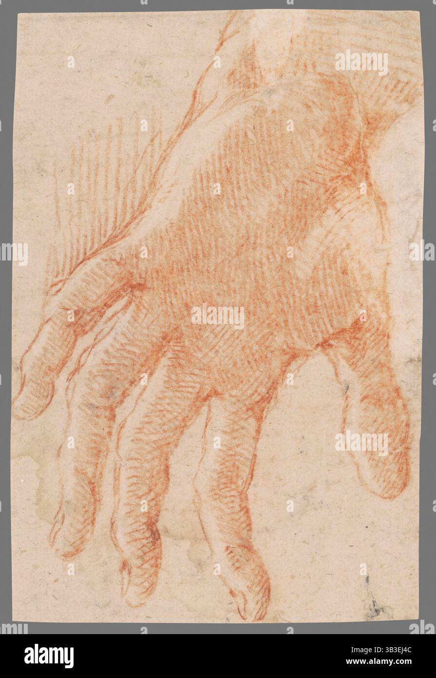 Studio di una mano sinistra, 1701/1800. Foto Stock
