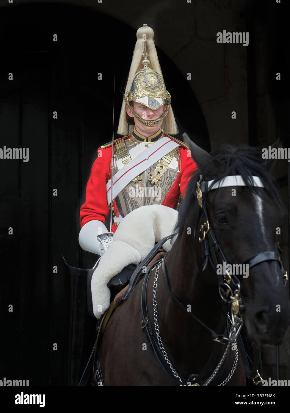 Un soldato della Royal Household Bodyguard in servizio al di fuori delle Horse Guards sfilano a Westminster, Londra, Inghilterra. Foto Stock