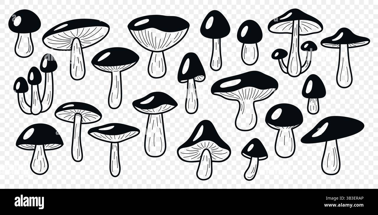 Set vettoriale Art a funghi Wild Black and White Line. Collezione di funghi della foresta disegnati a mano. Porcini, Bay Bolete, Birch Bolete, Set di icone di funghi Re Illustrazione Vettoriale