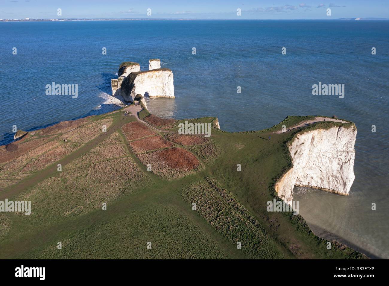 Il vecchio harry Rocks si affaccia sul mare, Dorset, Inghilterra Foto Stock
