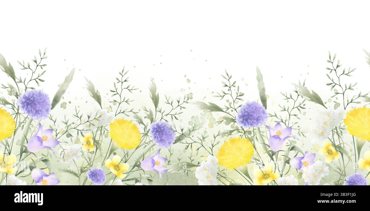 Fiori di campo, tarassio, yarrow e prato. Acquerello isolato disegnato a mano bordo senza cuciture del fiore giallo del campo lilla su verde Foto Stock