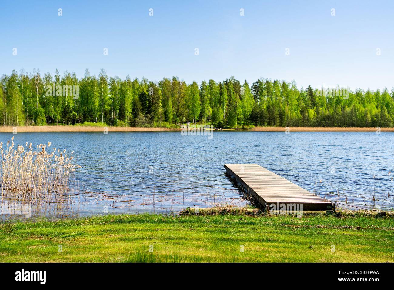 Lago e attracco in Finlandia. Molo di legno. Paesaggio naturale finlandese. Bella giornata d'estate. Acqua e cielo blu. Foresta sullo sfondo. Foto Stock