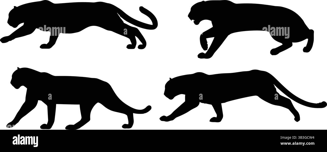 Potente collezione di sagome di Panther e Big Cat che rappresentano la natura furtiva e predatoria Illustrazione Vettoriale