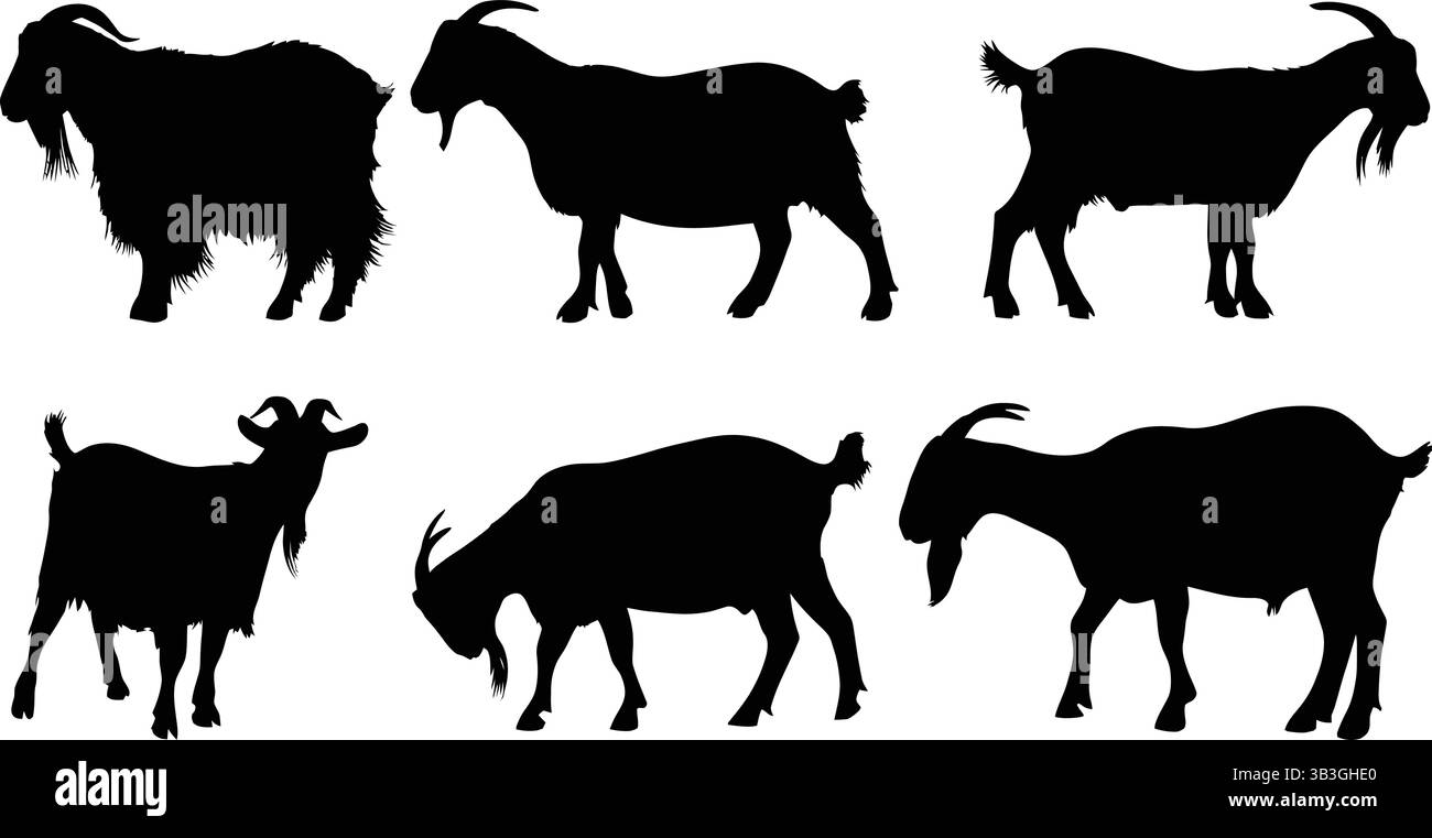 Silhouette assortite di capra nera in varie pose erette e pascoli Illustrazione Vettoriale