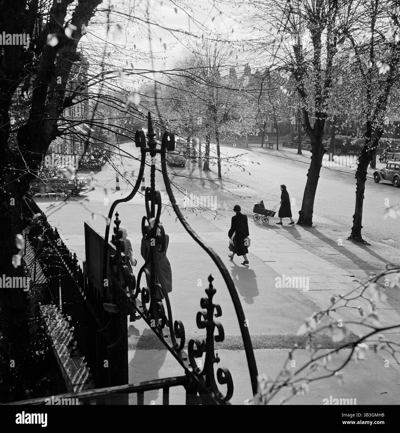 Una vista a sud-ovest su South Grove, Highgate, Londra, 1955 - 1965; si affaccia su un rovesciamento decorativo in ferro battuto e ringhiere sul davanti di una casa all'estremità nord-est della strada. Foto Stock Una vista a sud-ovest su South Grove, Highgate, Londra, 1955 - 1965; si affaccia su un rovesciamento decorativo in ferro battuto e ringhiere sul davanti di una casa all'estremità nord-est della strada. Foto Stock