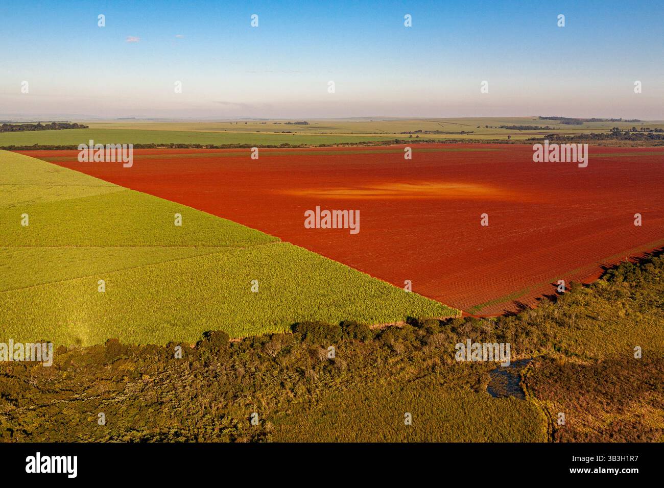 Vista aerea di una piantagione di canna da zucchero adiacente a un campo appena arato preparato per la piantagione futura, con una piccola area di foresta secondaria nelle vicinanze. Foto Stock Vista aerea di una piantagione di canna da zucchero adiacente a un campo appena arato preparato per la piantagione futura, con una piccola area di foresta secondaria nelle vicinanze. Foto Stock