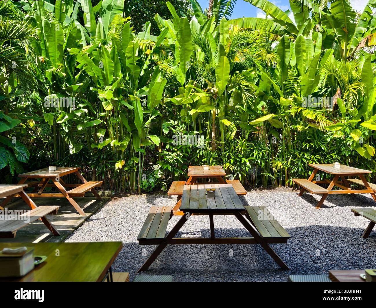 Area salotto all'aperto con diversi tavoli da picnic in legno su un terreno coperto di ghiaia, circondato da lussureggianti piante tropicali Foto Stock