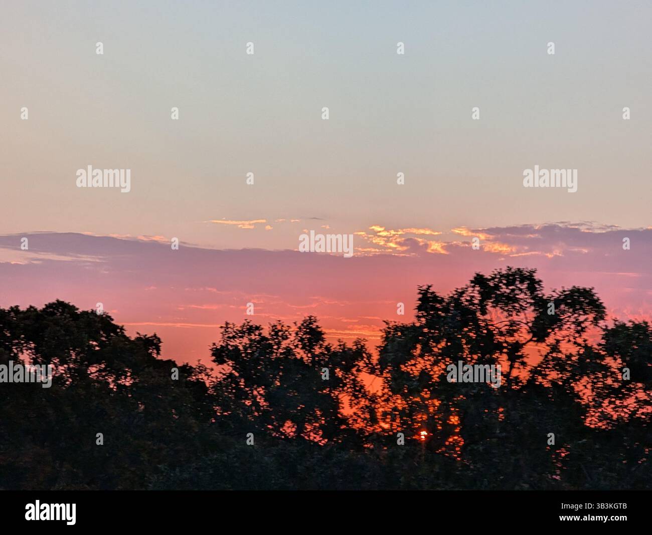Tramonto con gli alberi nelle Ozark - Immagine stock catturata con smartphone