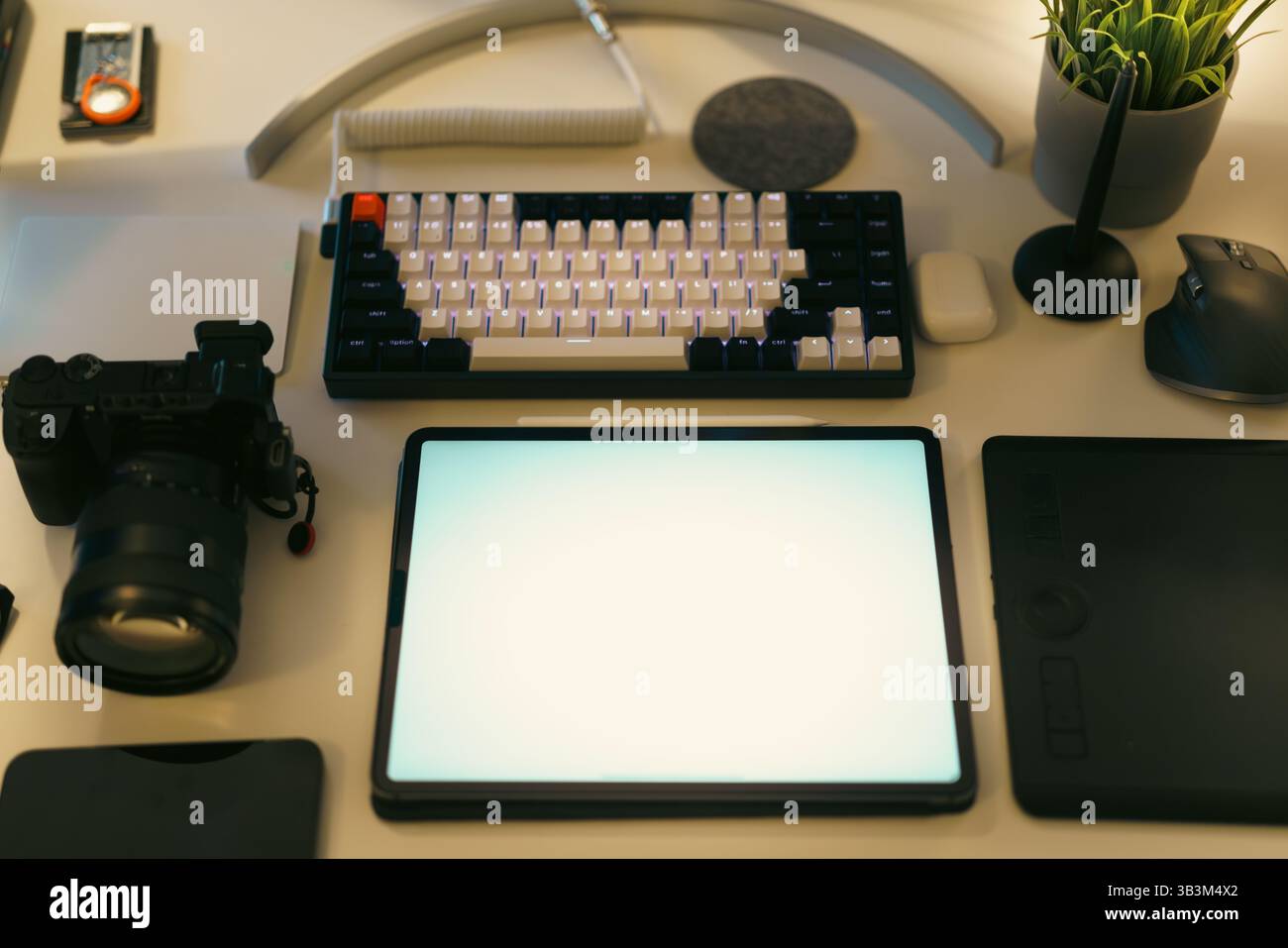 graphic designer fotografo scrivania scrivania tabler grafico mockup schermo tastiera computer dispositivi fotocamera da abowe green plants grafico tablet crea Foto Stock
