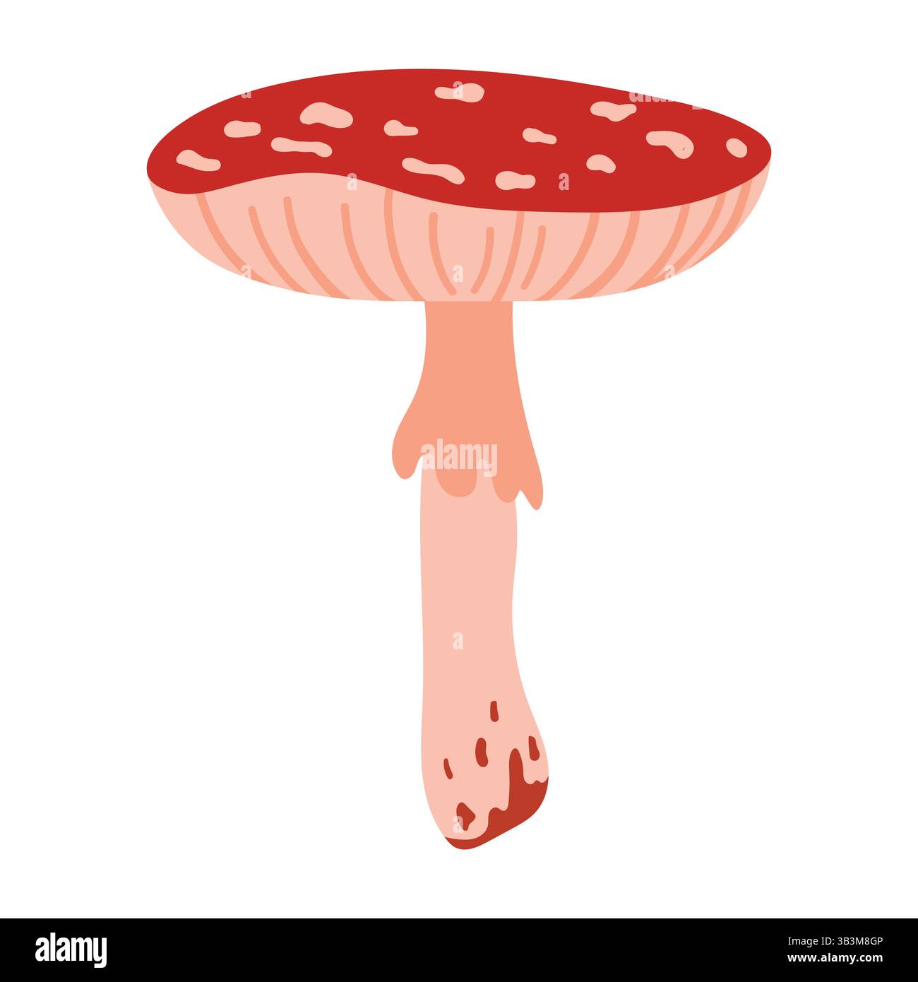 Illustrazione agarica disegnata a mano con tappo a fungo rosso e macchie bianche isolate su sfondo bianco. Fungo velenoso della foresta autunnale Illustrazione Vettoriale
