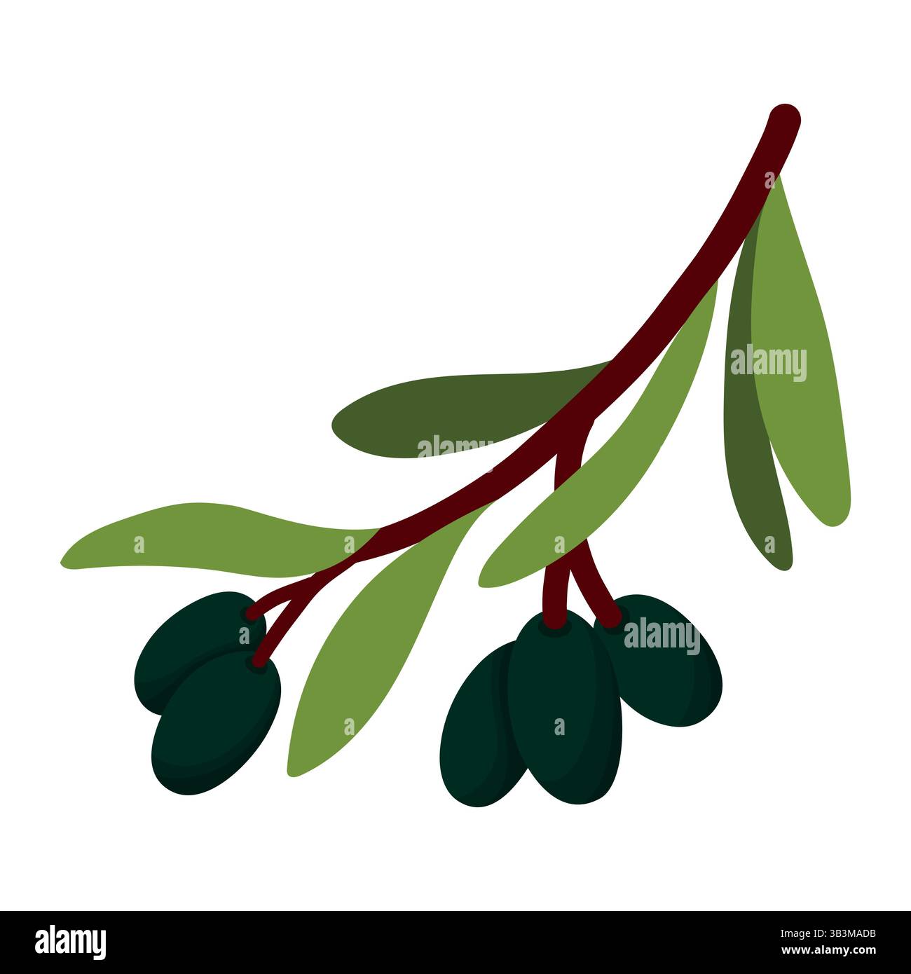 Rametto di olive con foglie e olive nere mature isolate su sfondo bianco. Ciuffi corti con foglie. Illustrazione naturalistica minimalista Illustrazione Vettoriale