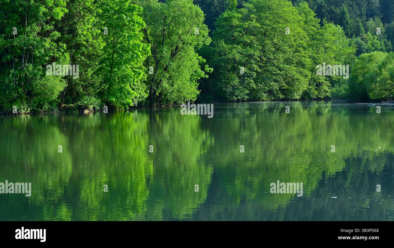 Una splendida vista sul prato del fiume Neckar da Rottenburg am Neckar in Germania, con prati verdi e foreste di alberi. Foto Stock