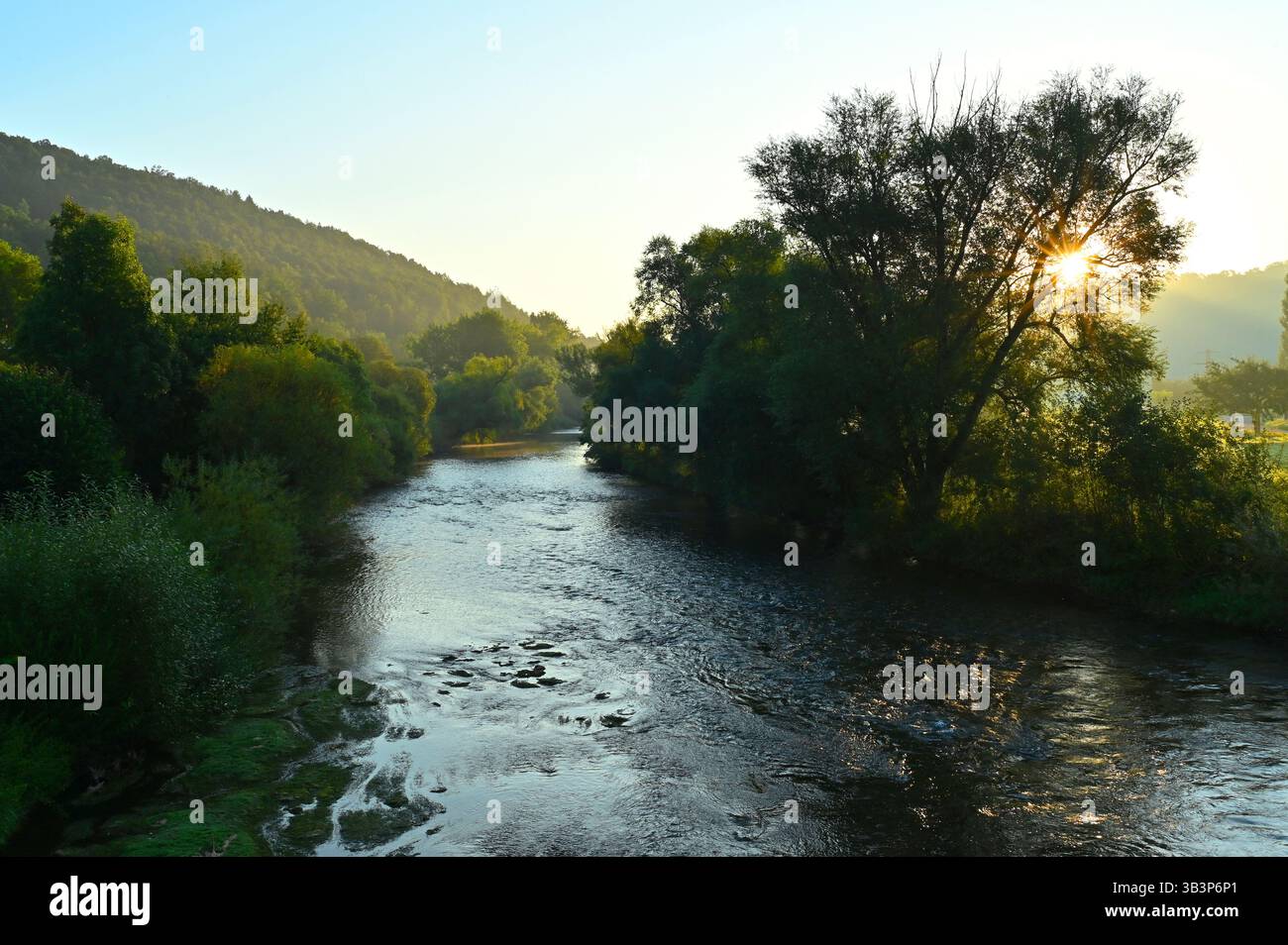 Una splendida vista sul prato del fiume Neckar da Rottenburg am Neckar in Germania, con prati verdi e foreste di alberi. Foto Stock