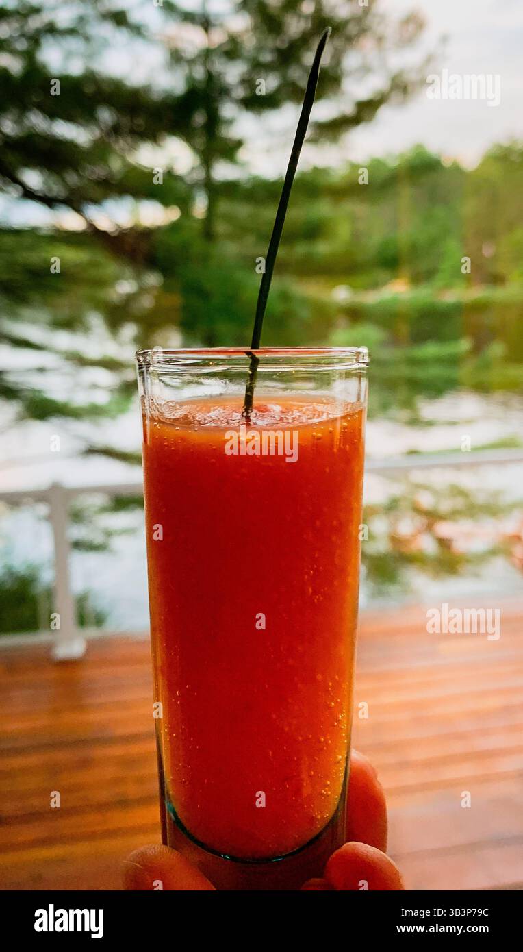 Shot di cocktail su una terrazza con vista sul lago e sulla foresta Foto Stock