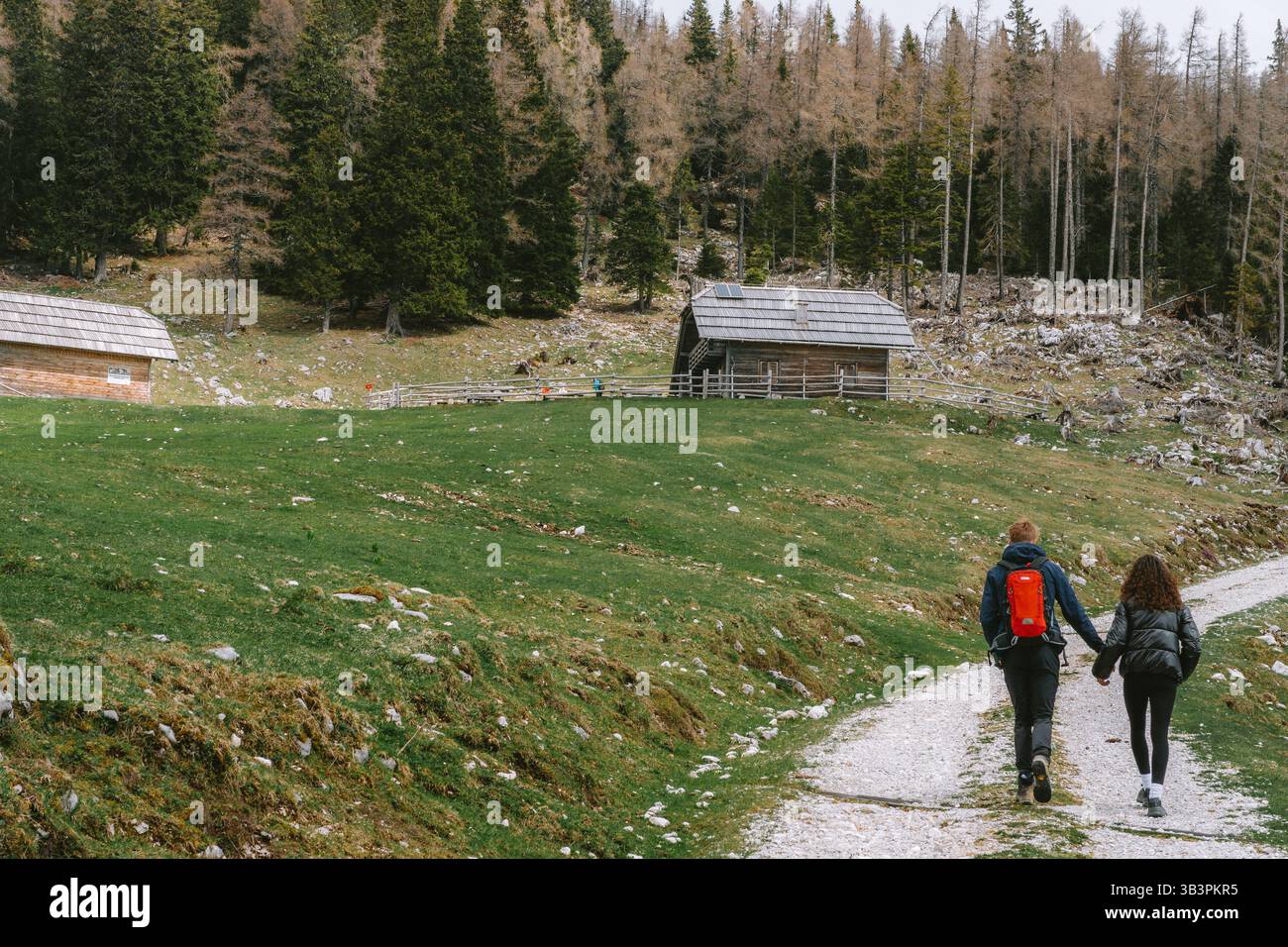 Planina podvežak, Slovenia 27.4,2025: Una coppia cammina lungo un sentiero tortuoso attraverso Planina Podvežak, Slovenia, circondato da capanne di legno e aspre alpe Foto Stock
