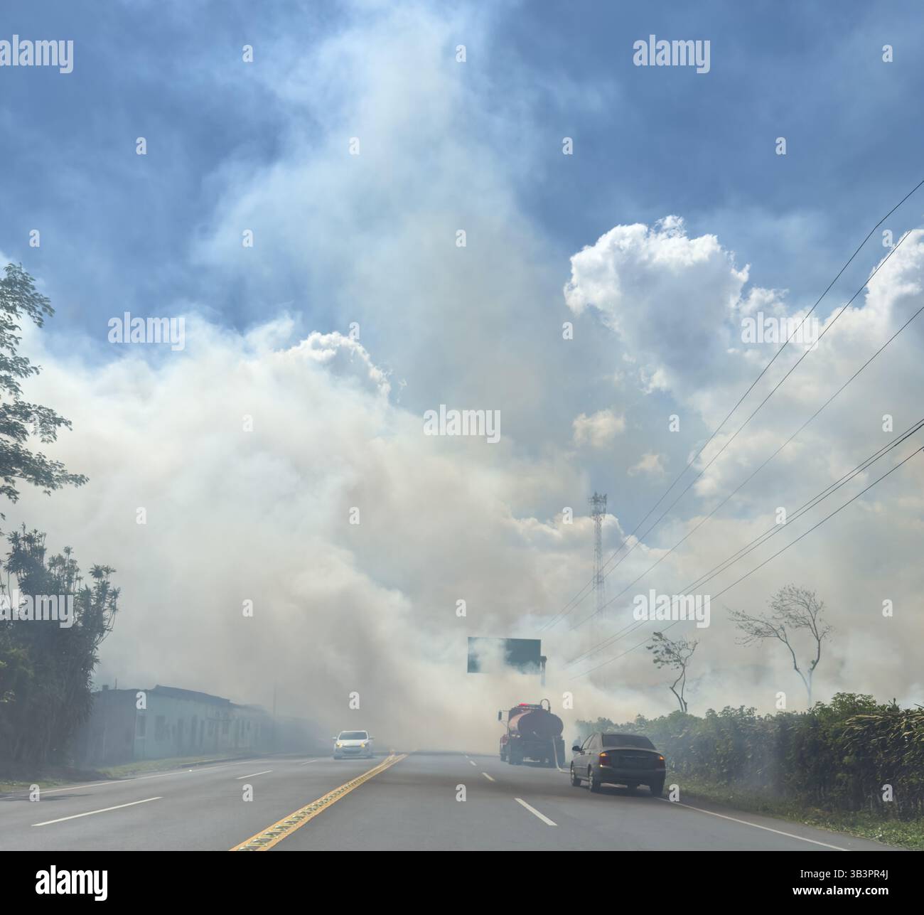 Wildfire vicino alla strada autostradale con molte nuvole di fumo bianche Foto Stock