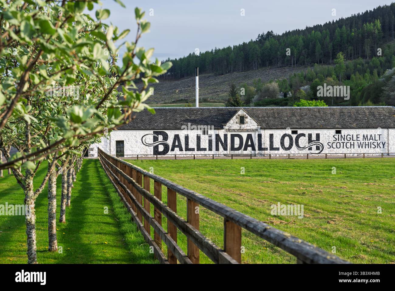 29 aprile 2025. Distilleria Ballindalloch, Ballindalloch, Moray, Scozia. Questa è la Ballindalloch Single Malt Scotch Whisky Distillery nel Golden hou Foto Stock