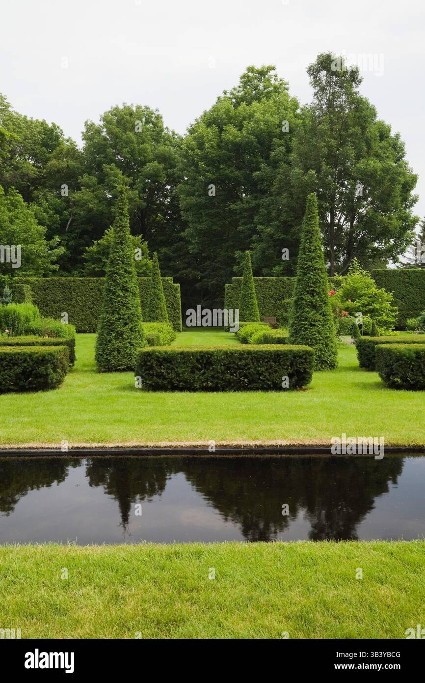 Prato verde curato con piscina a specchio in stile italiano e Thuja ritagliato - alberi di cedro e siepi nel giardino formale sul retro in estate. Foto Stock