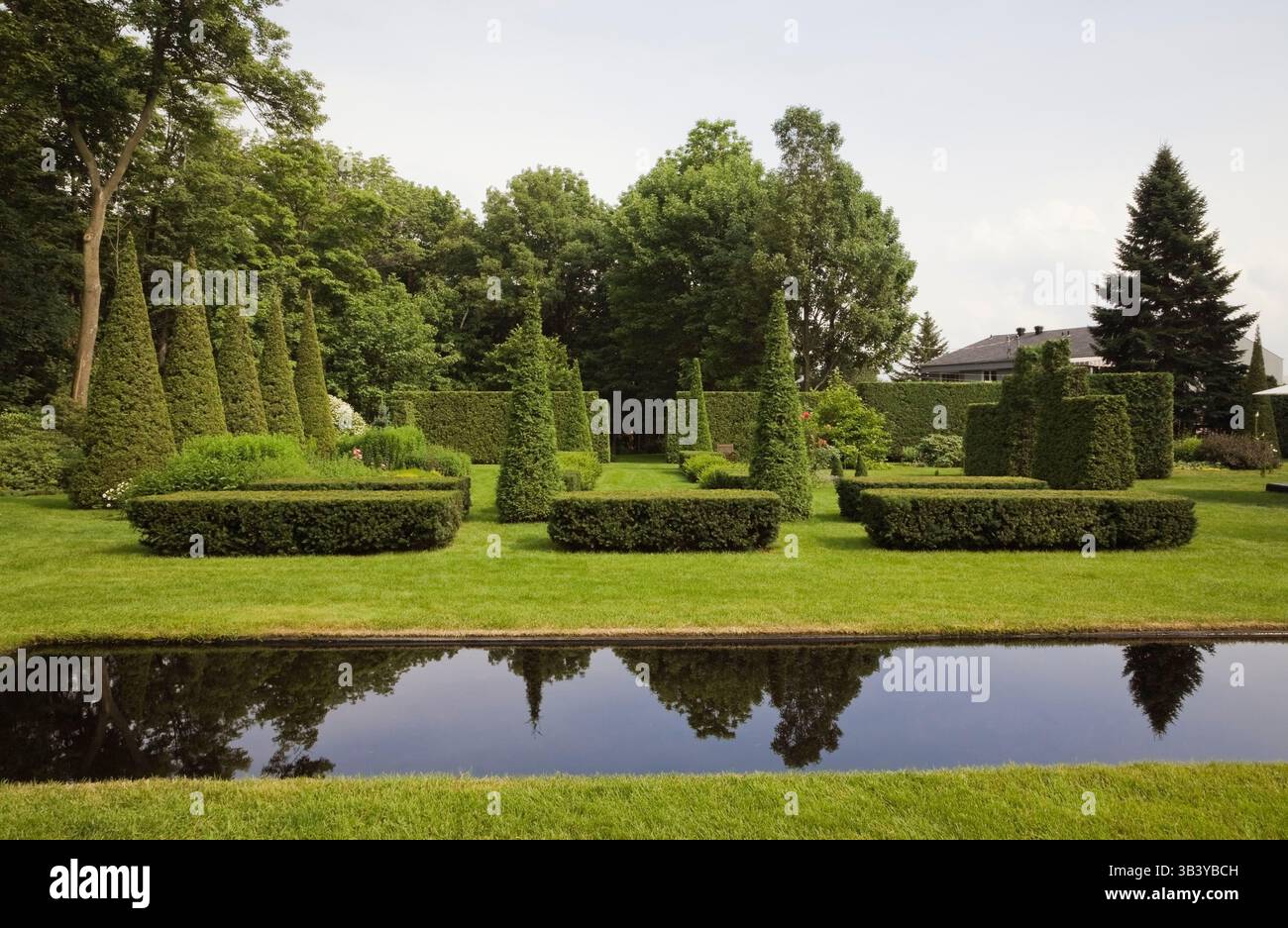 Prato verde curato con piscina a specchio in stile italiano e Thuja ritagliato - alberi di cedro e siepi nel giardino formale sul retro in estate. Foto Stock