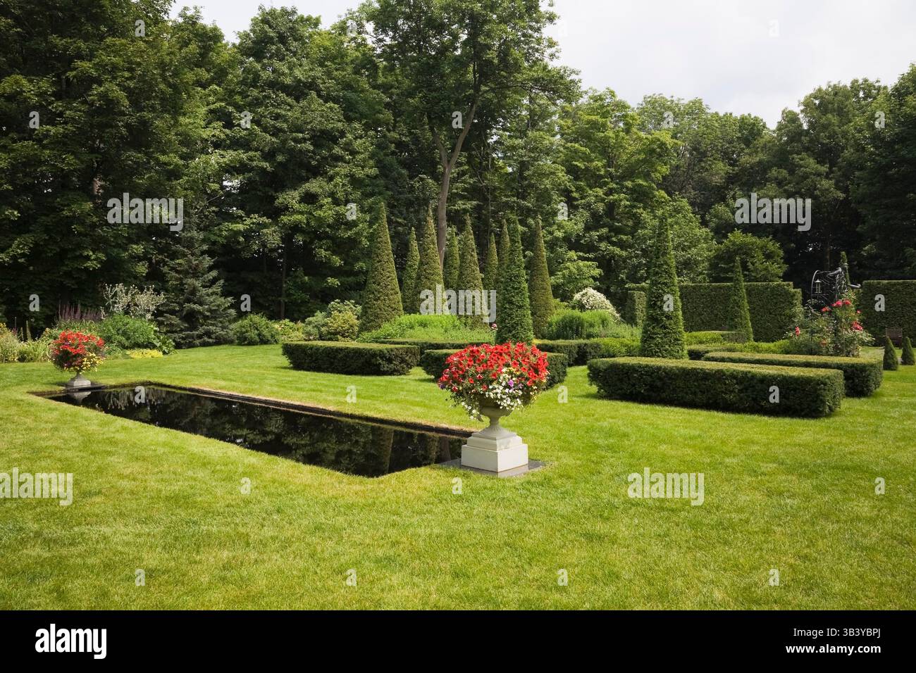 Prato verde curato e piscina a specchio in stile italiano con fiori rossi di Petunia in fioriere grigie di cemento e Thuja ritagliata - alberi di cedro e siepi Foto Stock