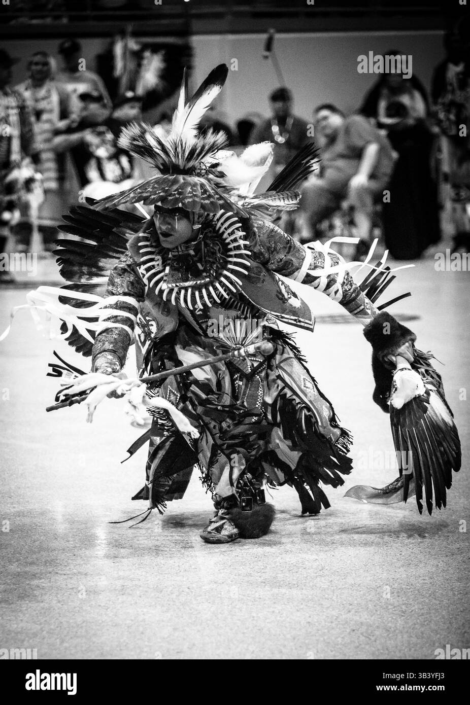 10 febbraio 2018 - Hollywood, Florida, USA - la tribù Seminole della Florida ospiterà la sua celebrazione annuale della cultura e delle arti dei nativi dal 9 all'11 febbraio 2018 a Hollywood, Florida. (Immagine di credito: © Thierry Dehove via ZUMA Wire) Foto Stock