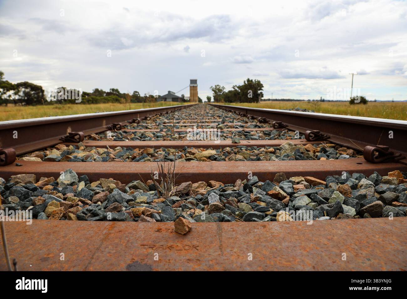Vista di una prospettiva classica utilizzata per immagini di una ferrovia, contenente un punto di scomparsa all'orizzonte vicino al silo di grano. Foto Stock