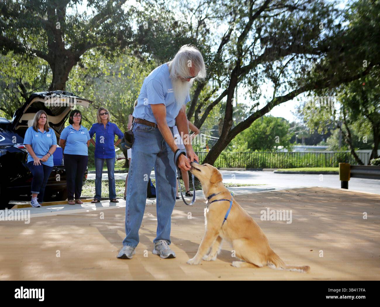 12 agosto 2015 - Pinellas Park, Florida, Stati Uniti - DOUGLAS R. CLIFFORD | Times.Southeastern Guide Dogsâ€™ cucciolo volontario John Jewett, di largo, lavora con Ruth, una Golden retriever di sei mesi, durante un incontro di formazione mercoledì (8/12/15) a Pinellas Park. Jewett e sua moglie sono tra le famiglie che accettano di aiutare i futuri cani guida a sentirsi a proprio agio con la vita domestica, imparare l'obbedienza di base e iniziare a sperimentare il mondo. I cacciatori di cuccioli portano i cuccioli everywhereâ€”per lavorare, mangiare fuori, fare escursioni e persino fare acquisti di generi alimentari. Questo training nel mondo reale imita le esperienze che hai vissuto Foto Stock