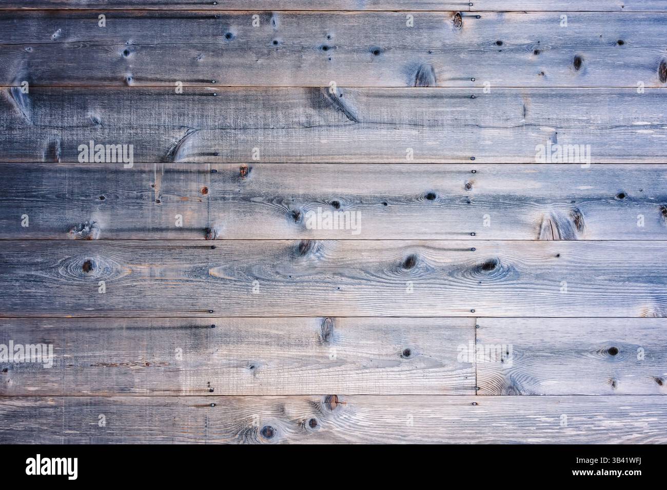 Superficie in legno testurizzato dettagliata che mostra grana naturale e nodi, adatta per sfondi Foto Stock