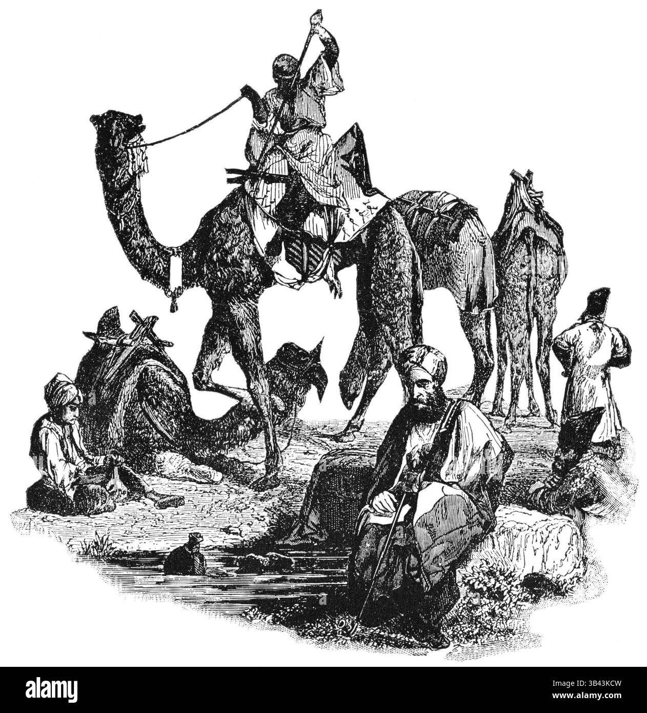 21 gennaio 2015 - dromedario, cammelli, carovana, deserto, storico, (immagine di credito: © Glasshouse via ZUMA Wire) Foto Stock