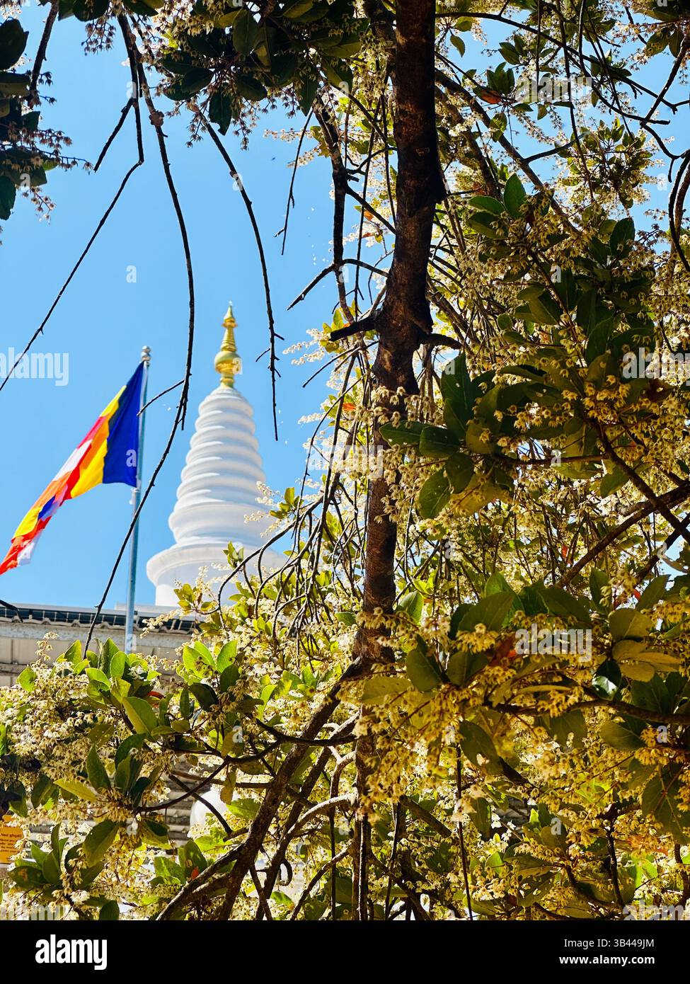 Stupa buddista sacro che si erge alto sotto il cielo, simboleggia la pace, l'illuminazione e il patrimonio spirituale delle antiche tradizioni dello Sri Lanka. - Immagine stock catturata con smartphone