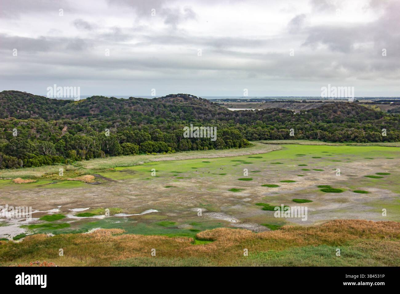 Un paesaggio di paludi e boschi nella riserva naturale di Tower Hill a Victoria, Australia. Foto Stock