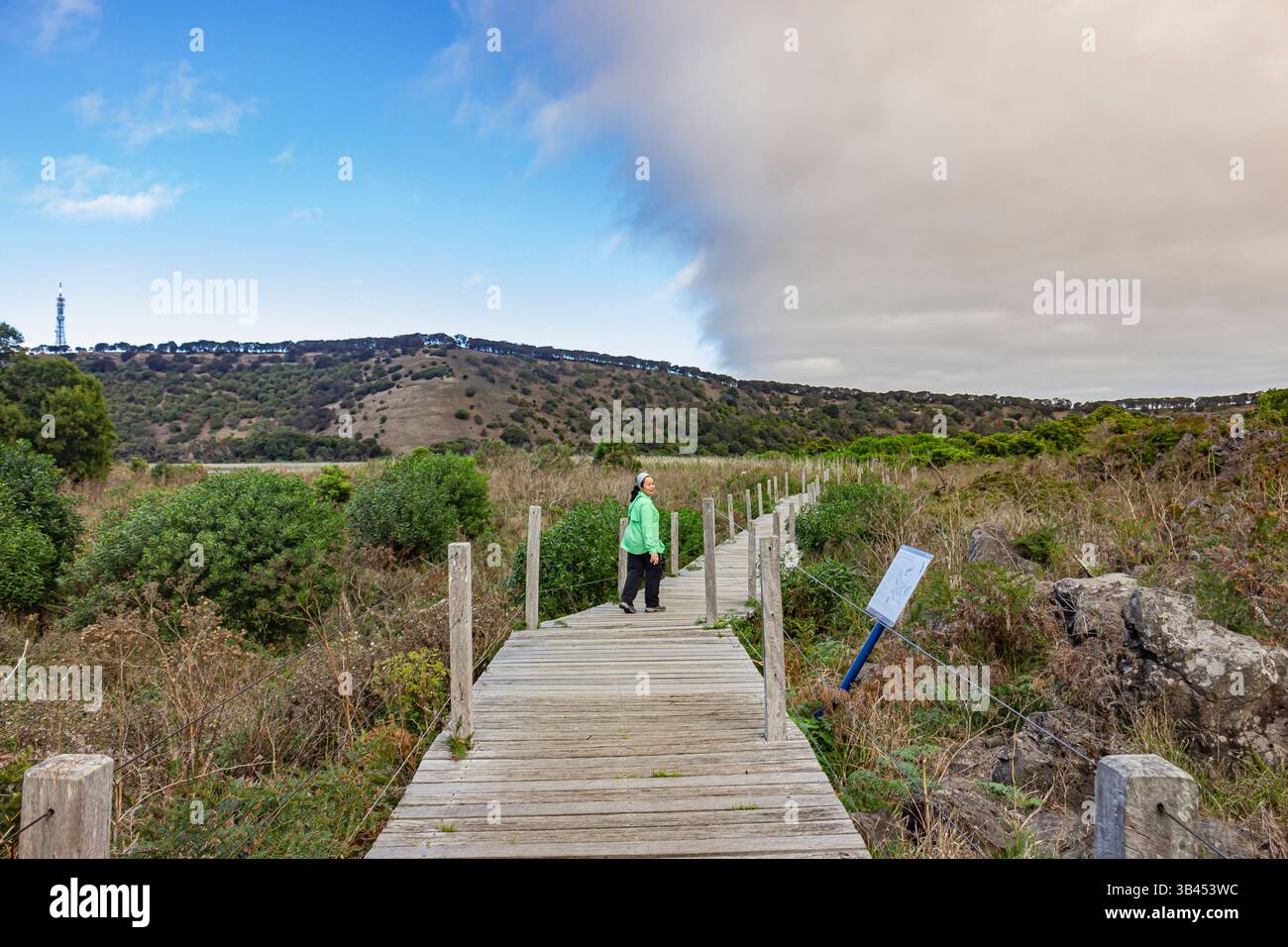 Passerella a plank nella riserva naturale di Tower Hill a Victoria, Australia, che è un vulcano e una zona umida dormiente. Foto Stock