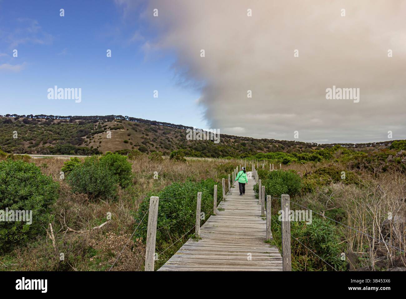 Passerella a plank nella riserva naturale di Tower Hill a Victoria, Australia, che è un vulcano e una zona umida dormiente. Foto Stock