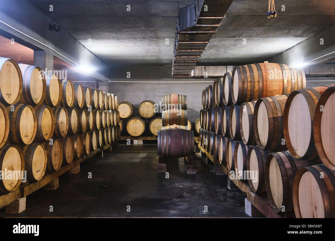 Le botti di legno di quercia, le botti e il vino invecchiato sono esposti dietro il bicchiere. Presso la Suvla Wine Factory di Eceabat, Gallipoli, Turchia. Foto Stock