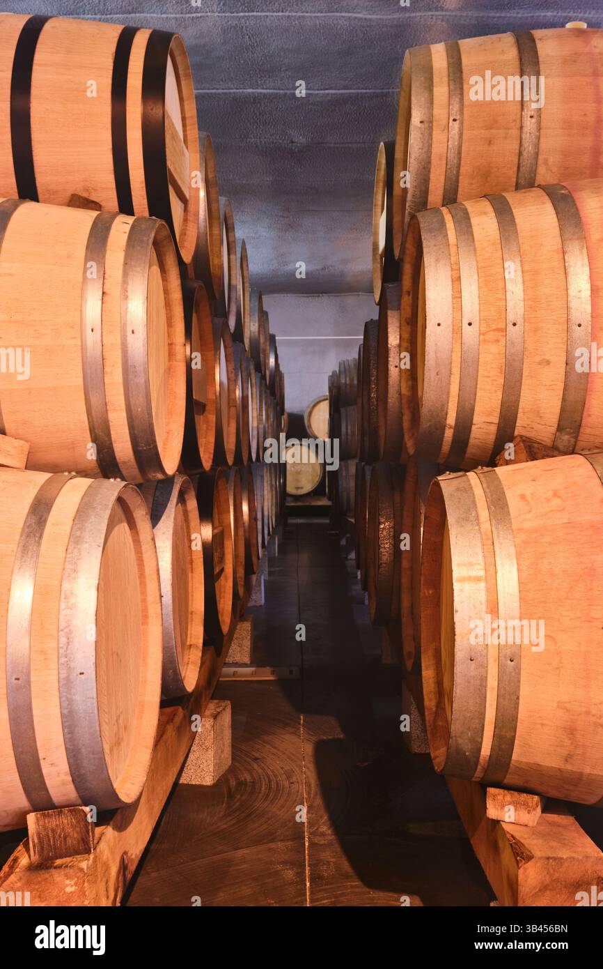Le botti di legno di quercia, le botti e il vino invecchiato sono esposti dietro il bicchiere. Presso la Suvla Wine Factory di Eceabat, Gallipoli, Turchia. Foto Stock