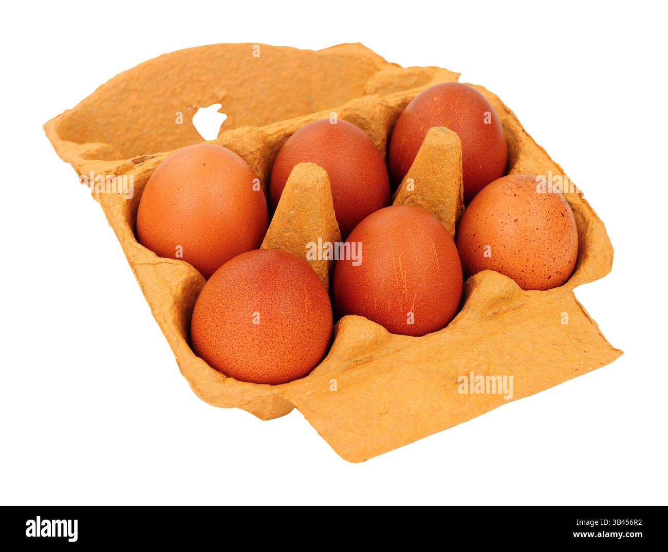 Scatola di sei uova di galline castagne allevate all'aperto isolate su fondo bianco Foto Stock
