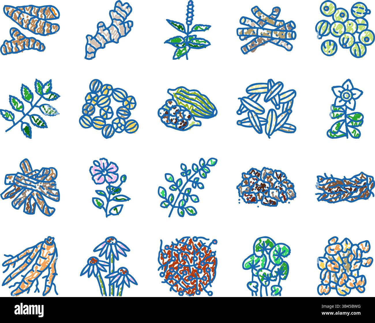 erbe ayurvediche medicine icone di salute disegnate a mano Illustrazione Vettoriale