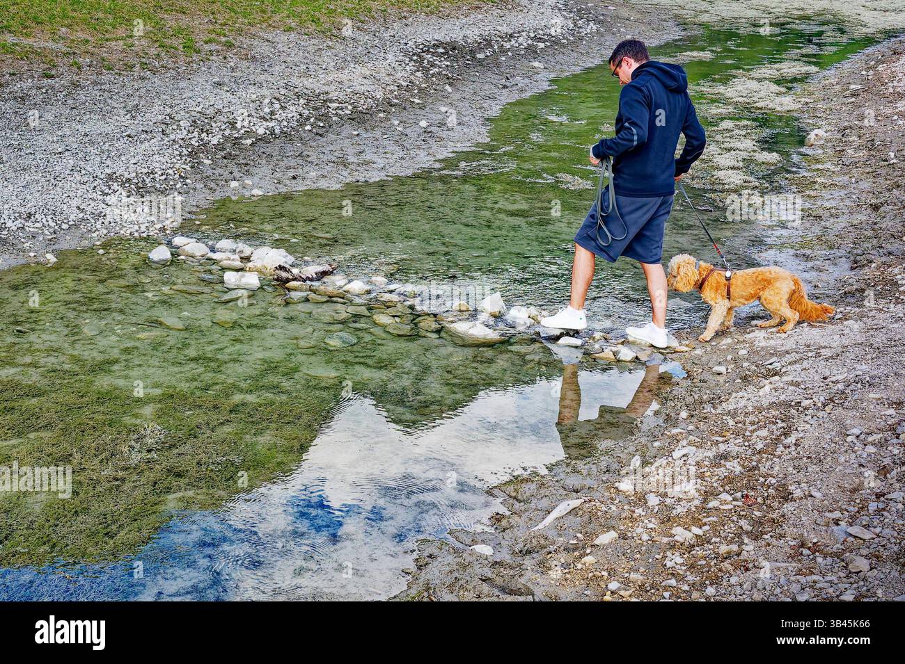 Wanderung mit jungem Hund. Der Hundebesitzer überquert mit seinem Welpen den schmalen Bach über einen kleinen Steindamm. Ruhpolding Bayern Deutschland *** escursioni con un giovane cane il proprietario del cane attraversa lo stretto ruscello con il suo cucciolo su una piccola diga di pietra Ruhpolding Baviera Germania Copyright: XRolfxPossx Foto Stock