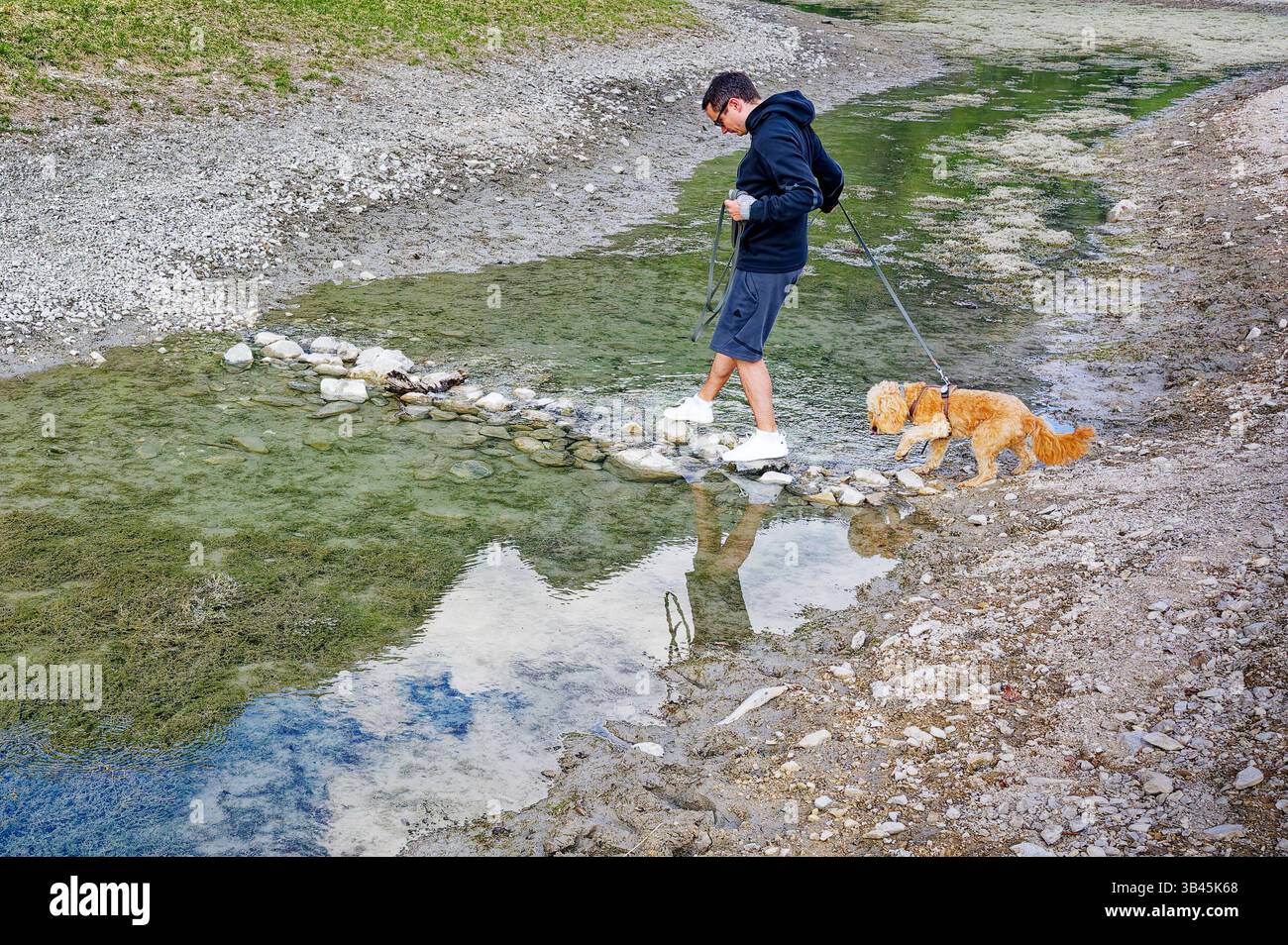 Wanderung mit jungem Hund. Der Hundebesitzer überquert mit seinem Welpen den schmalen Bach über einen kleinen Steindamm. Ruhpolding Bayern Deutschland *** escursioni con un giovane cane il proprietario del cane attraversa lo stretto ruscello con il suo cucciolo su una piccola diga di pietra Ruhpolding Baviera Germania Copyright: XRolfxPossx Foto Stock