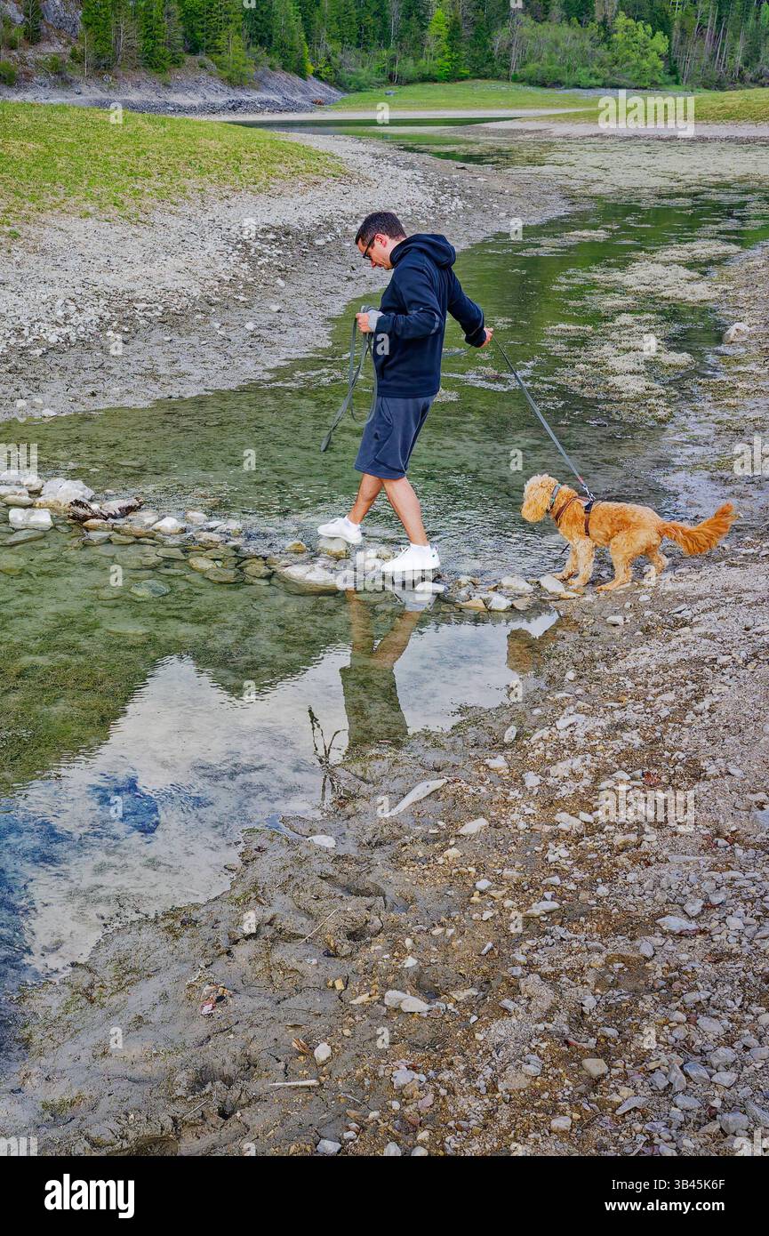 Wanderung mit jungem Hund. Der Hundebesitzer überquert mit seinem Welpen den schmalen Bach über einen kleinen Steindamm. Ruhpolding Bayern Deutschland *** escursioni con un giovane cane il proprietario del cane attraversa lo stretto ruscello con il suo cucciolo su una piccola diga di pietra Ruhpolding Baviera Germania Copyright: XRolfxPossx Foto Stock