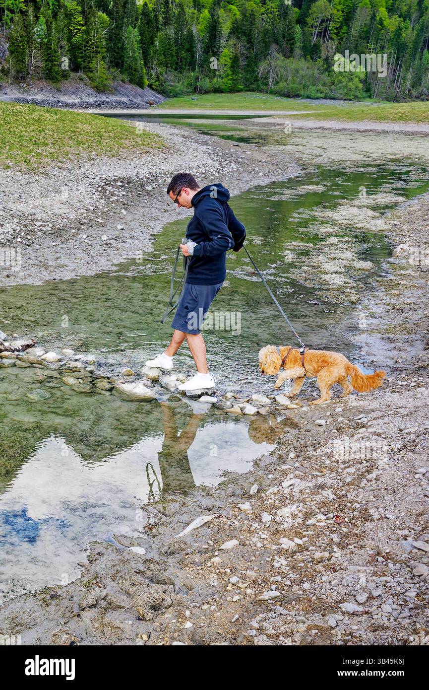 Wanderung mit jungem Hund. Der Hundebesitzer überquert mit seinem Welpen den schmalen Bach über einen kleinen Steindamm. Ruhpolding Bayern Deutschland *** escursioni con un giovane cane il proprietario del cane attraversa lo stretto ruscello con il suo cucciolo su una piccola diga di pietra Ruhpolding Baviera Germania Copyright: XRolfxPossx Foto Stock