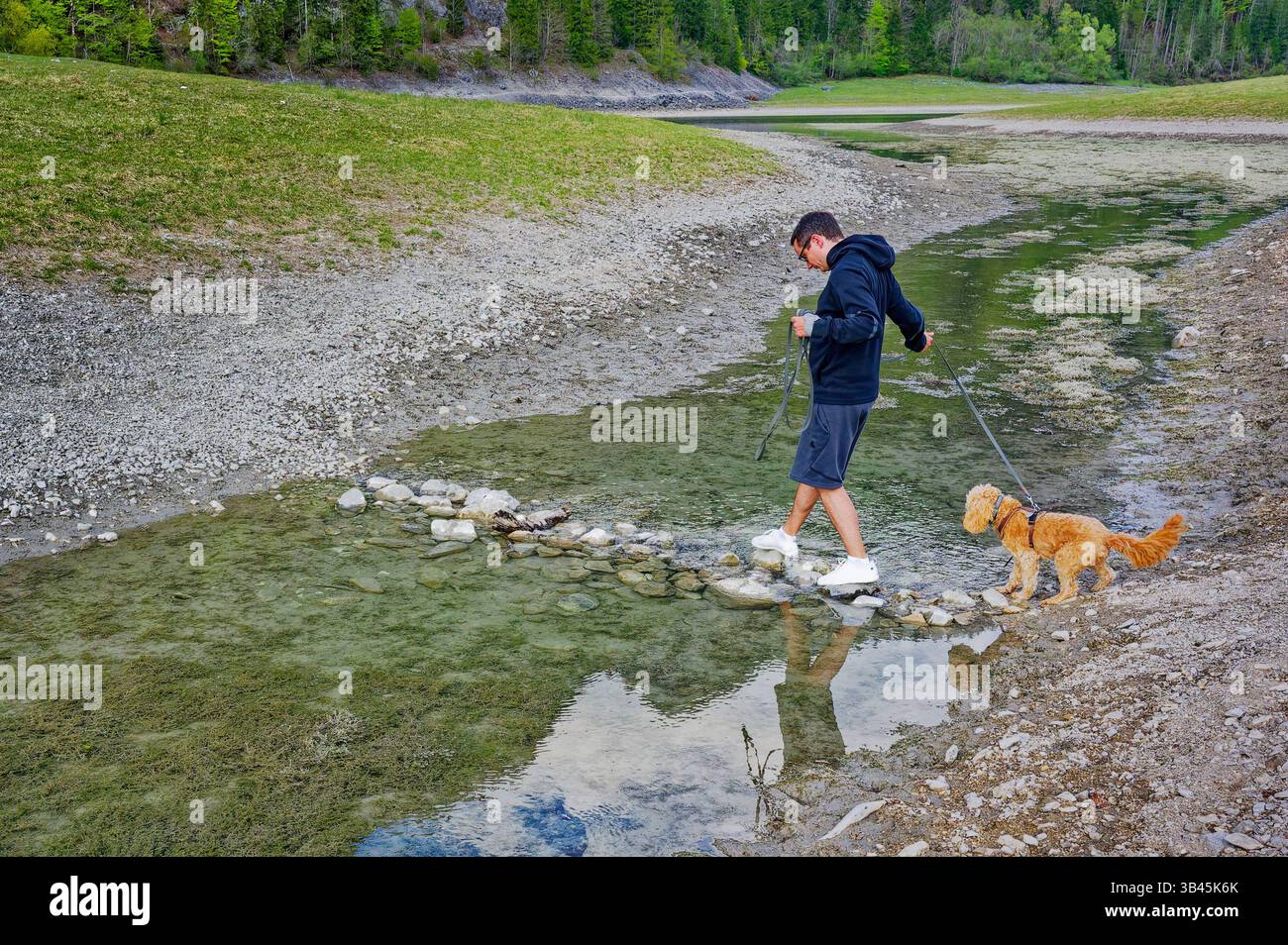 Wanderung mit jungem Hund. Der Hundebesitzer überquert mit seinem Welpen den schmalen Bach über einen kleinen Steindamm. Ruhpolding Bayern Deutschland *** escursioni con un giovane cane il proprietario del cane attraversa lo stretto ruscello con il suo cucciolo su una piccola diga di pietra Ruhpolding Baviera Germania Copyright: XRolfxPossx Foto Stock