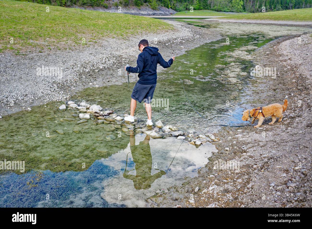 Wanderung mit jungem Hund. Der Hundebesitzer überquert mit seinem Welpen den schmalen Bach über einen kleinen Steindamm. Ruhpolding Bayern Deutschland *** escursioni con un giovane cane il proprietario del cane attraversa lo stretto ruscello con il suo cucciolo su una piccola diga di pietra Ruhpolding Baviera Germania Copyright: XRolfxPossx Foto Stock